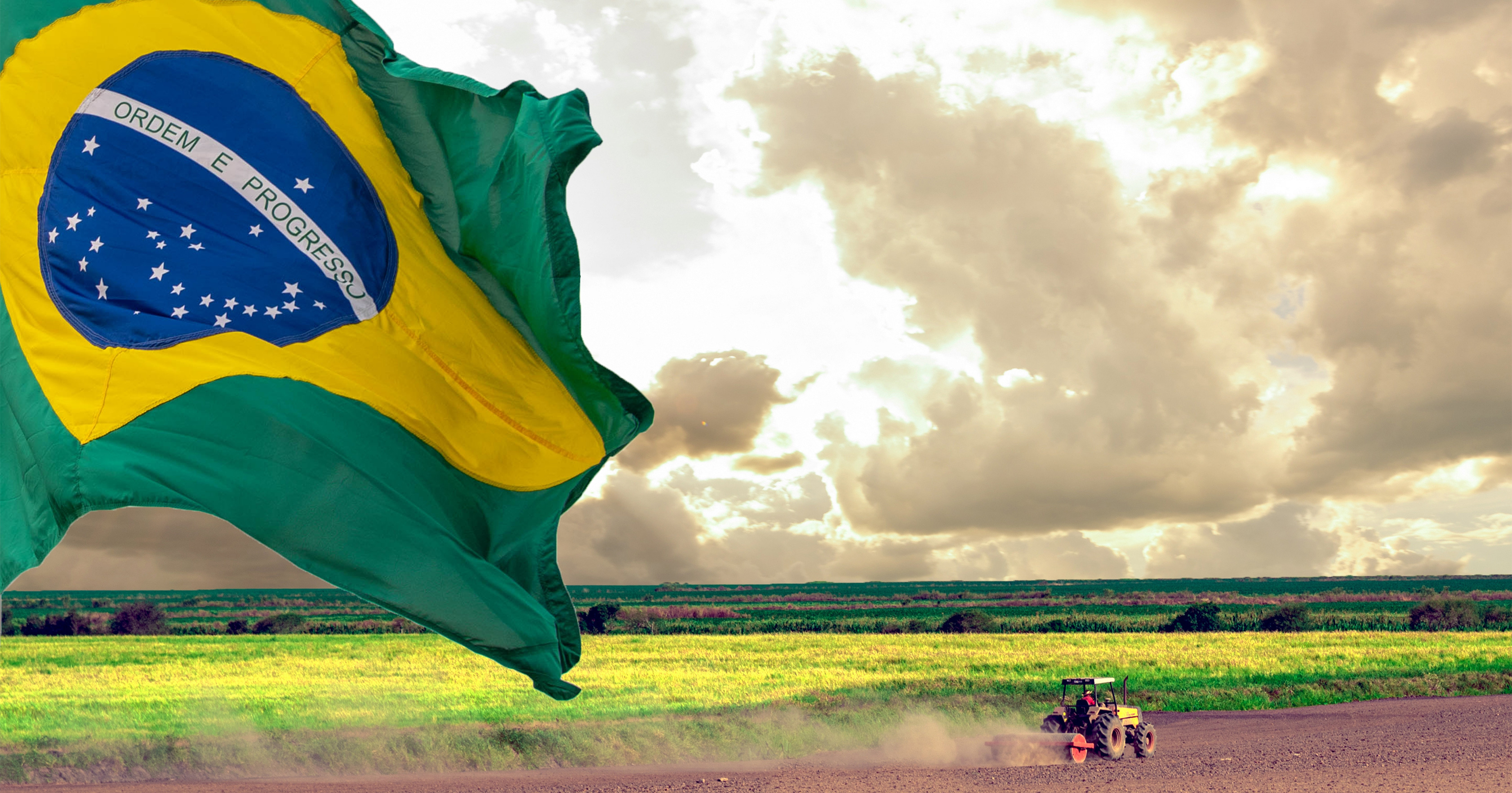 Entenda o cenário do agronegócio brasileiro